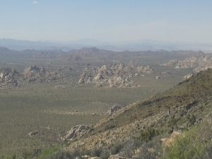 Vue depuis Ryan Mountain (Joshua Tree)