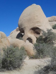 Skull Rock (Joshua Tree)