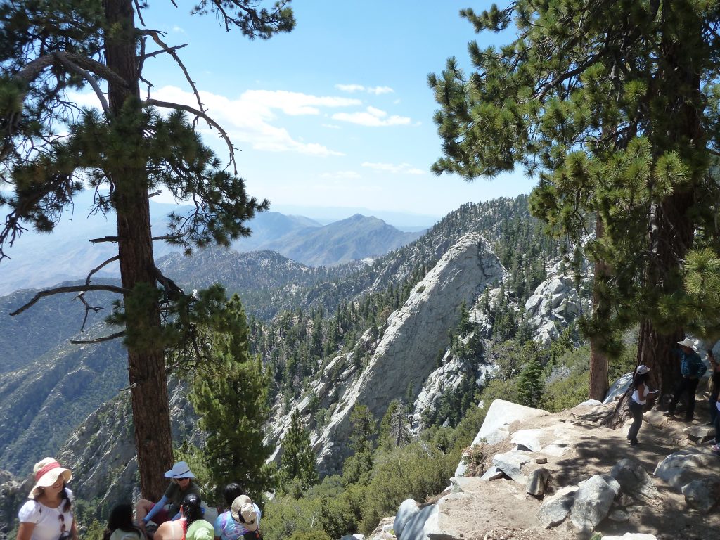 Rochers et forêts aux alentours de l'arrivée du tram aérien (Parc du Mont San Jacinto)