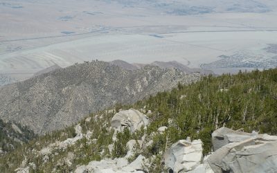 Palm Springs – De la fournaise à la fraîcheur en quinze minutes